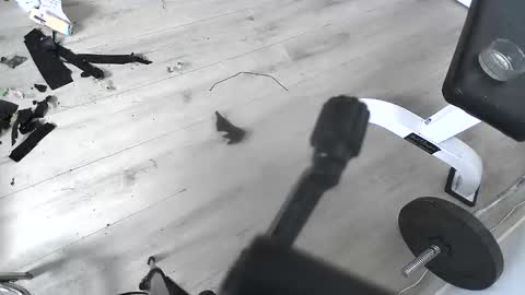 BamBam online show from October 7, 7:48 am