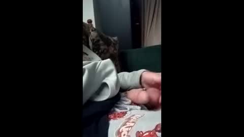 ushavingfun69 online show from March 27, 7:03 am