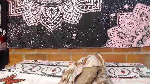 valeria online show from October 11, 3:00 am