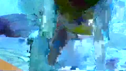 veeting online show from January 8, 9:26 am