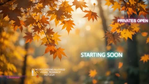 vegas_romance online show from September 28, 2:31 am