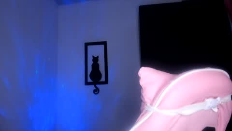 velvetparis online show from August 5, 2:30 am