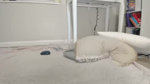 Harley   instahailharleyy online show from July 26, 2:53 am
