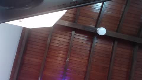 Venus Evans online show from February 23, 12:19 am