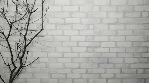 Ana online show from February 25, 1:10 pm