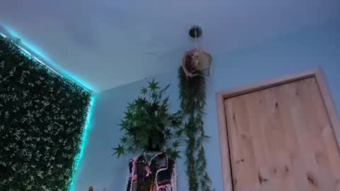 Victoria   online show from June 5, 9:42 pm