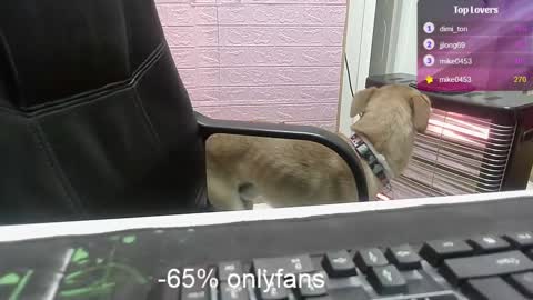 Victoreiya online show from February 18, 5:09 pm