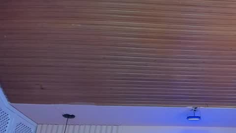 Viiolett online show from October 1, 8:30 pm