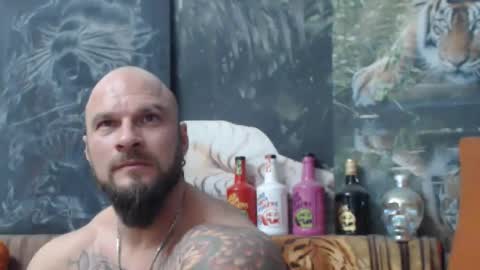 viking online show from November 5, 9:17 pm