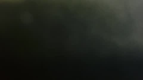 vinofuck online show from October 10, 3:51 pm