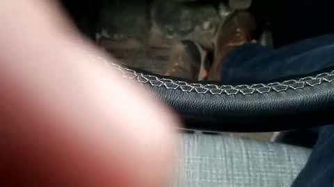 Visciousplayer online show from February 26, 4:27 pm