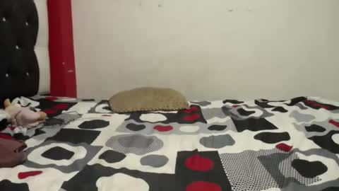 melissa online show from November 25, 3:49 am