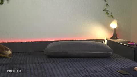 vladdicheck online show from October 16, 11:43 am