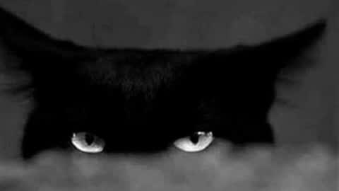 Gabriela online show from April 13, 5:50 pm