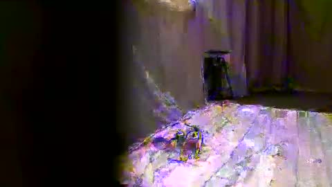 vpetkah online show from November 22, 2:54 am