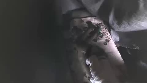 vpetkah online show from December 3, 9:54 am