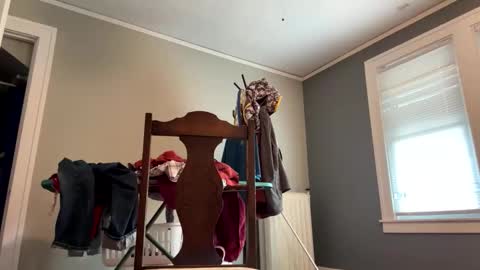 Walter online show from November 24, 7:01 pm