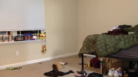 COSMOxWANDA online show from March 3, 1:23 am