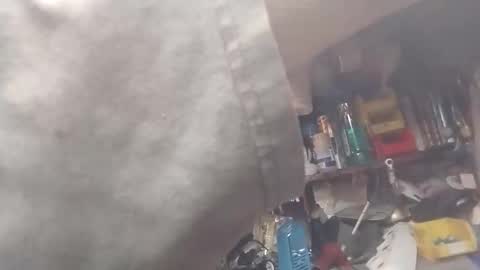 wantmycock75582167 online show from October 2, 10:58 am