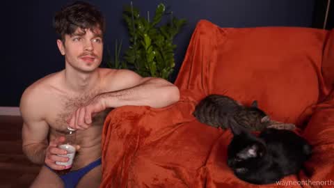 waynenorth online show from November 22, 4:38 pm