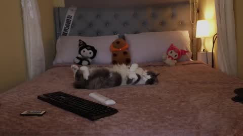 Wayuu Goddess  3 online show from October 5, 6:59 pm