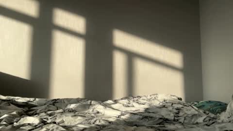 kite and joe3 online show from February 25, 9:24 am