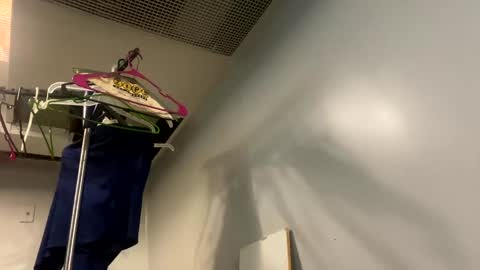 well_ndowed online show from January 2, 7:40 pm