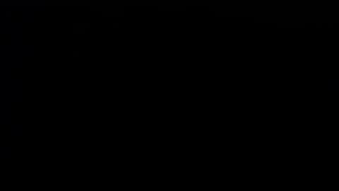 wellingtont online show from October 12, 8:29 am