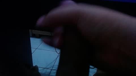 wellingtont online show from February 1, 1:24 am