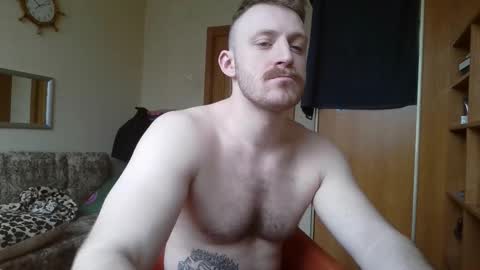 WhiteBull online show from March 2, 7:15 am