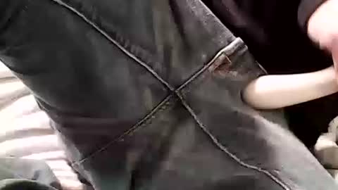 Ryder Harder online show from October 9, 11:21 pm