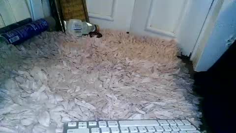 Wifeonly online show from July 11, 10:51 am