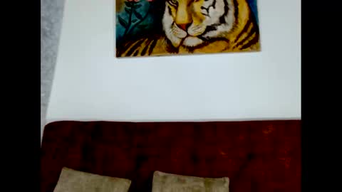 Wild RoomXxX online show from September 30, 9:03 pm