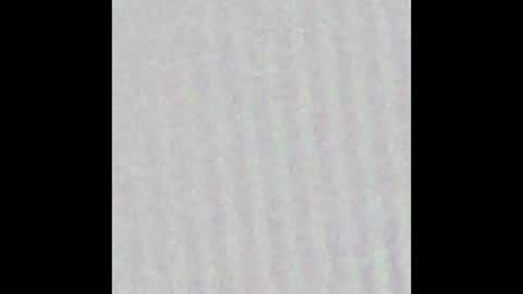 wildestnick online show from February 25, 11:25 am