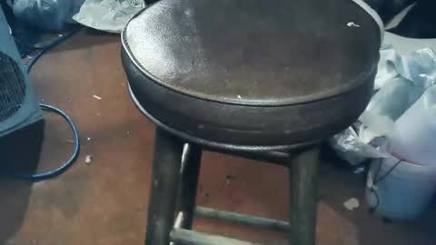 wildman6 online show from October 9, 7:41 pm