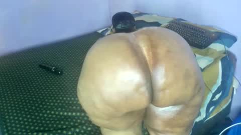 wilmaassylum online show from November 6, 6:38 am