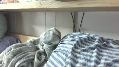 Danii online show from March 7, 2:36 am