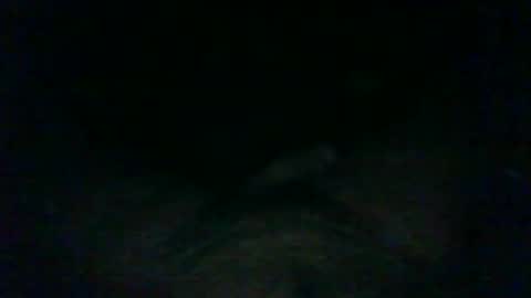 Wolf online show from January 6, 5:30 am