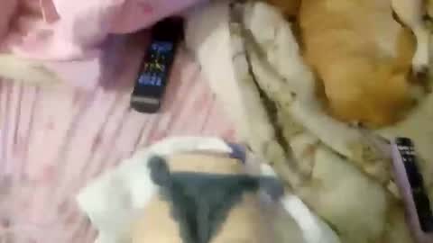 wood6957 online show from November 1, 12:26 pm