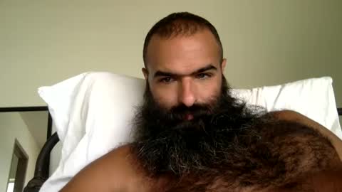 Snapshot of woof_wolf37 chatting on September 13, 4:31 pm woof_wolf37 online show from September 13, 4:31 pm