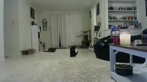 Crystal Lake online show from October 19, 7:46 am