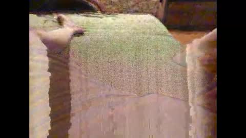 wucio69 online show from October 7, 9:11 pm