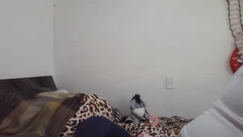 Ximena online show from February 16, 9:16 pm