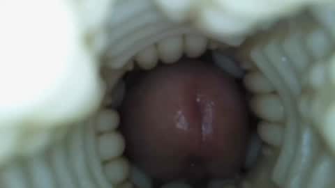 xoxowtf online show from March 15, 5:38 pm