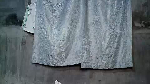 Windy online show from October 7, 11:39 am