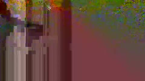 yangolox3 online show from October 1, 7:40 am