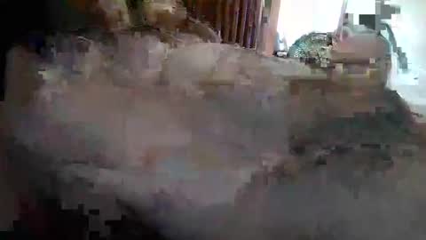 yavinnsexual online show from April 21, 2:51 am