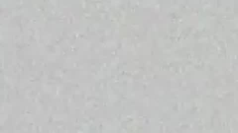 .     y e l l o w s n a k e s       . online show from April 16, 1:55 pm