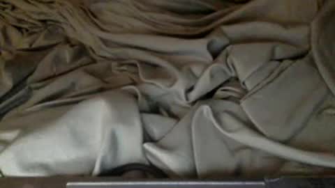 yes_you_may online show from November 8, 11:46 am