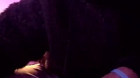 yn2238 online show from October 24, 9:43 am